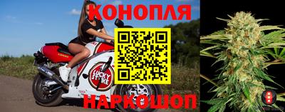 прущие грибы Рыбинск