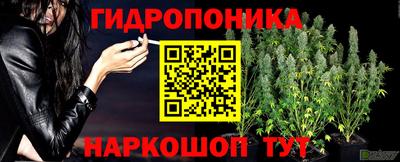 jwh Пушкино