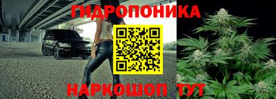 прущая мука Пугачёв
