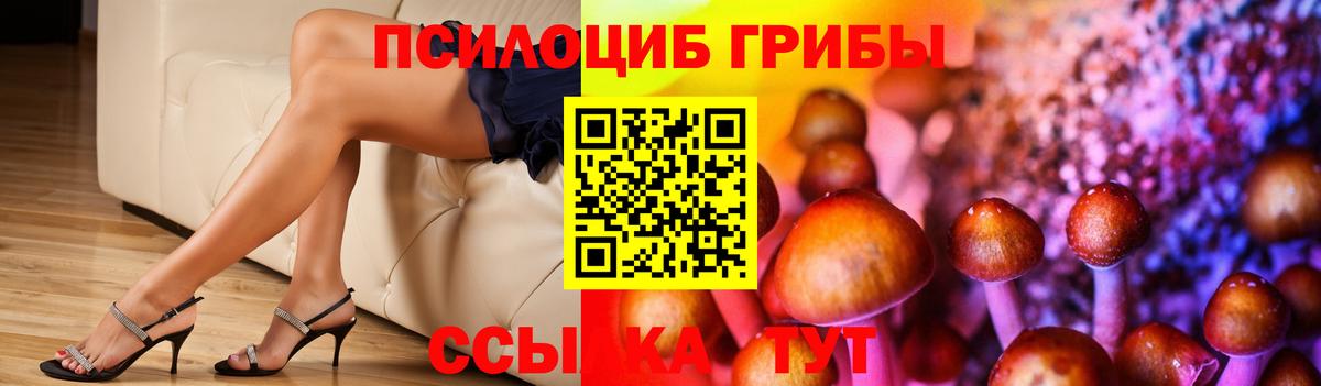 цена   Псилоцибиновые грибы Magic Shrooms  Вход с VPN  Галлюциногенные грибы мухоморы  Анжеро-Судженск 